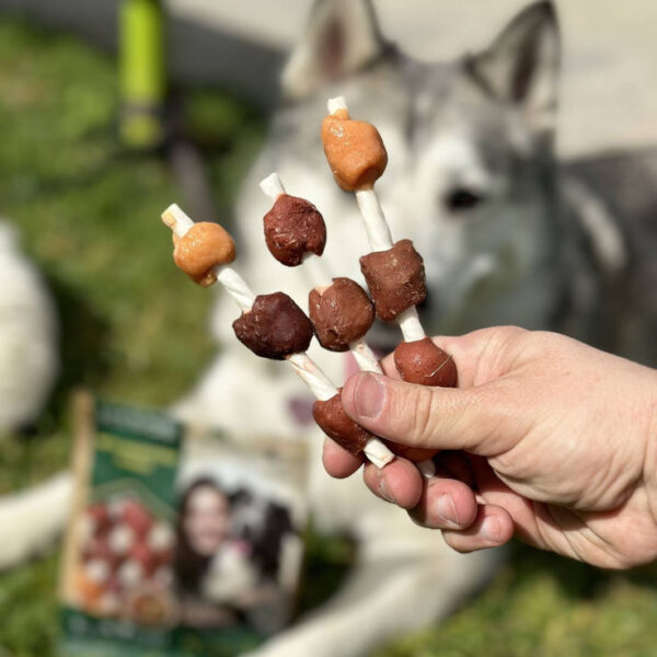 Gourmet Dental Chews
