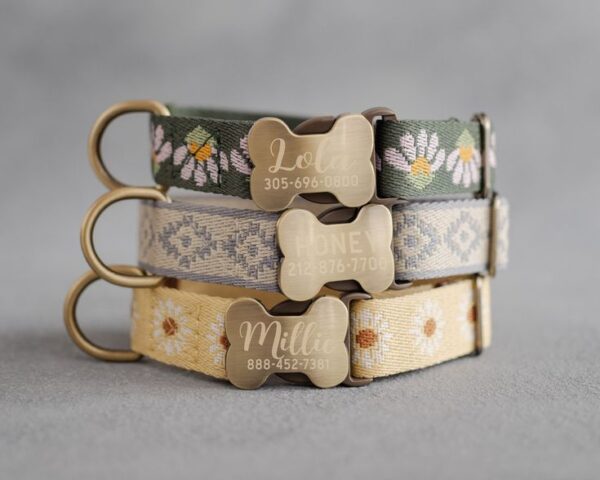 dog collar
